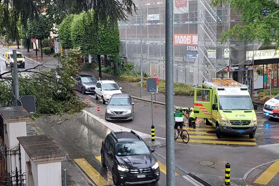Il maltempo fa danni: un albero è caduto in via Trevano