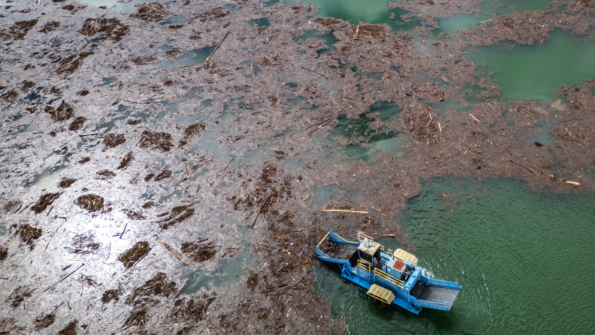 Isole di detriti alla foce del Vedeggio: «Servirebbe un dragaggio radicale»