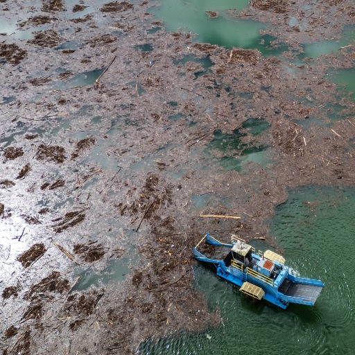 Isole di detriti alla foce del Vedeggio: «Servirebbe un dragaggio radicale»