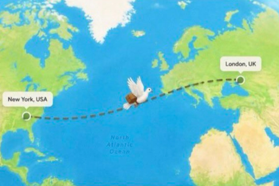 Stanchi dei messaggi istantanei? Ora le chat viaggiano anche alla velocità dei piccioni