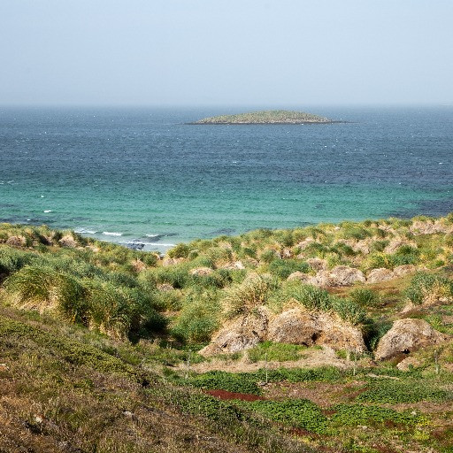 Perché Trump sta cambiando idea sulle isole Falkland