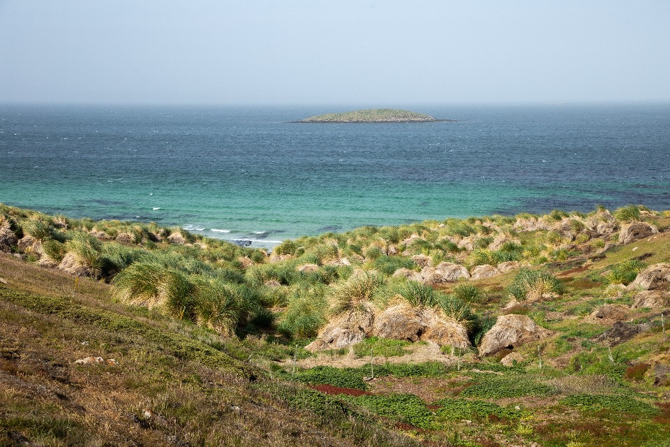 Perché Trump sta cambiando idea sulle isole Falkland