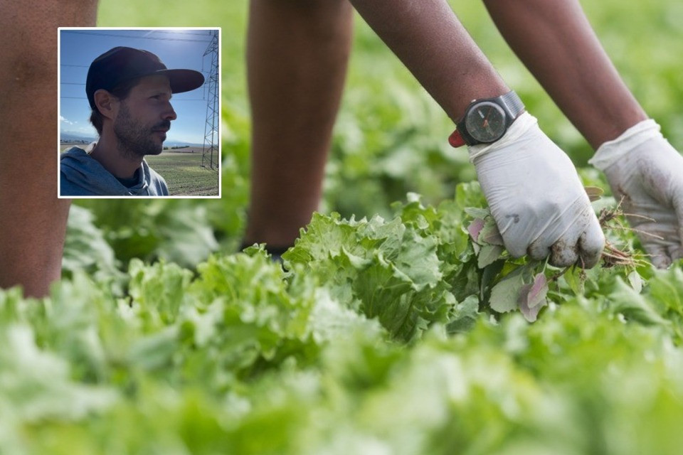 Una grandinata gli distrugge la fattoria, ma una raccolta fondi ottiene per lui oltre 195.000 franchi