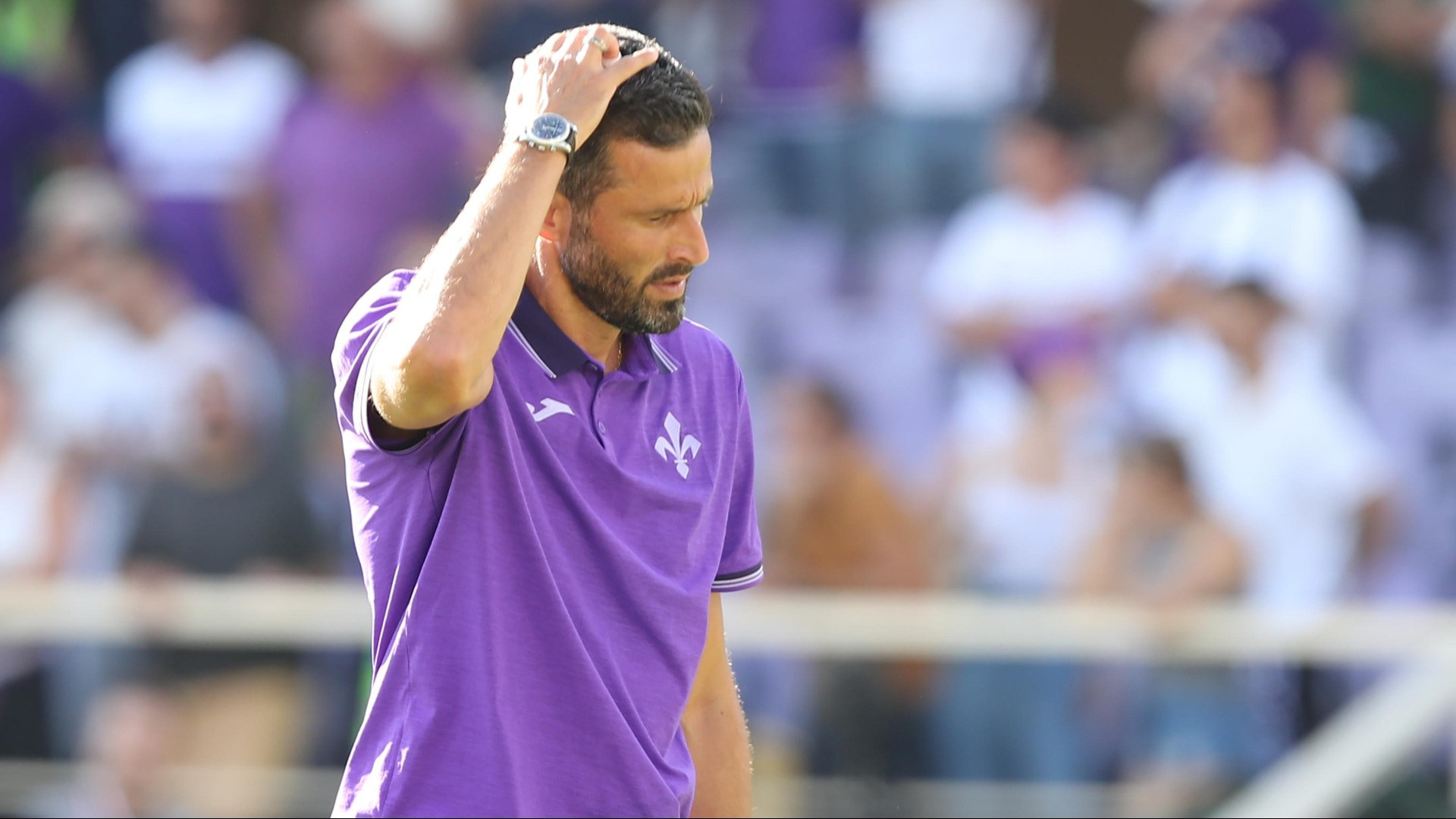 Fiorentina, esonerato Fabio Grosso dopo tre giornate: la prima panchina a saltare in Serie A