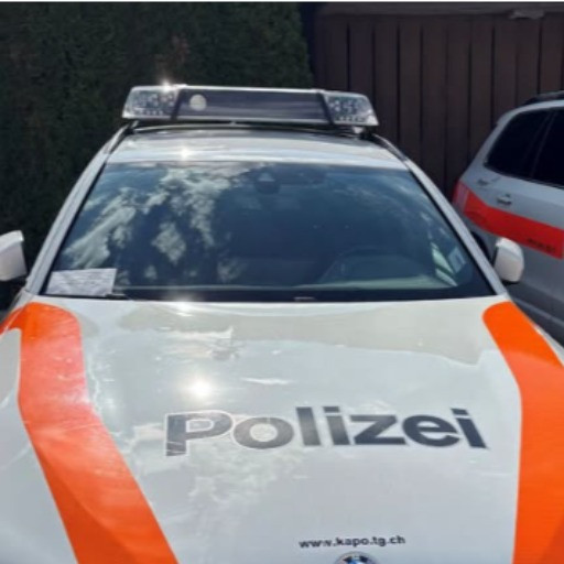 I bambini «multano» la polizia: 4 franchi per un parcheggio «sbagliato»