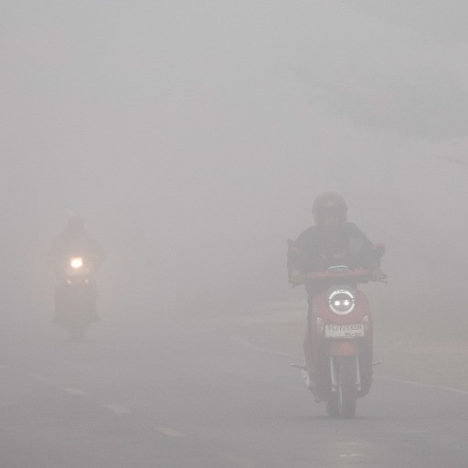 Caldo estremo e incendi: «Le polveri fini incidono su ecosistema e salute»