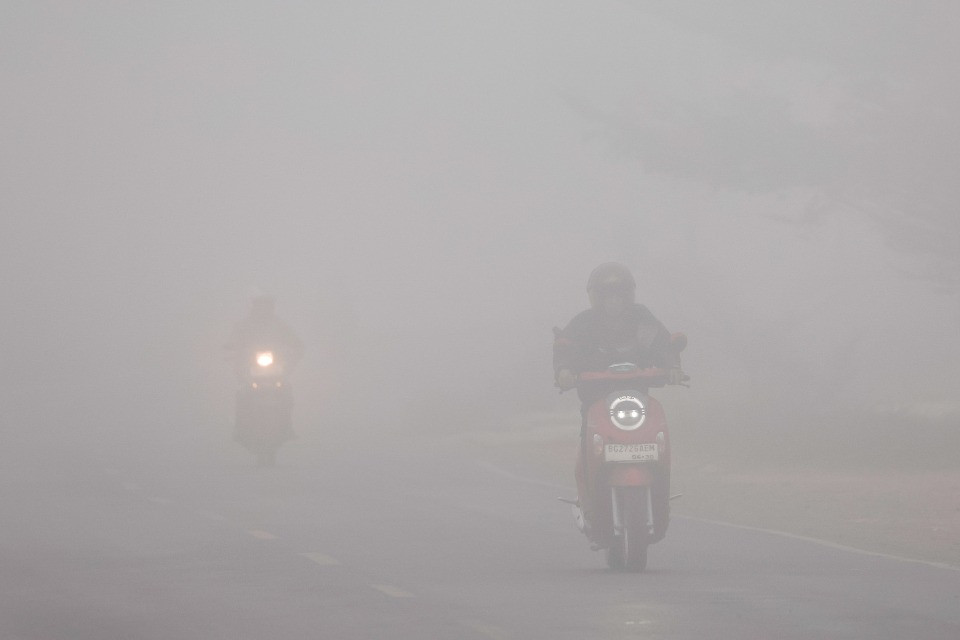 Caldo estremo e incendi: «Le polveri fini incidono su ecosistema e salute»