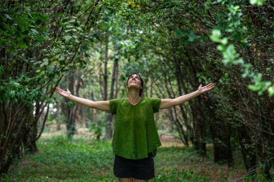 «Il bagno di bosco nasce in Giappone, ma in Ticino trova un terreno tutto suo»