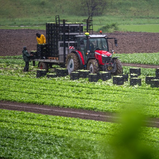 Gli agricoltori vogliono riversare il caro-carburante sui prezzi dei prodotti