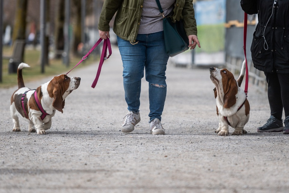 «Oggi non si vendono più prodotti per animali: si vende relazione»