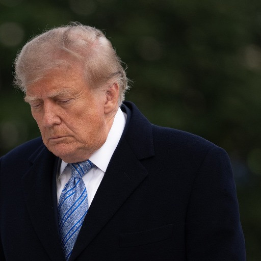 Accusata di far parte di un complotto per assassinare Trump, ma era tutto falso