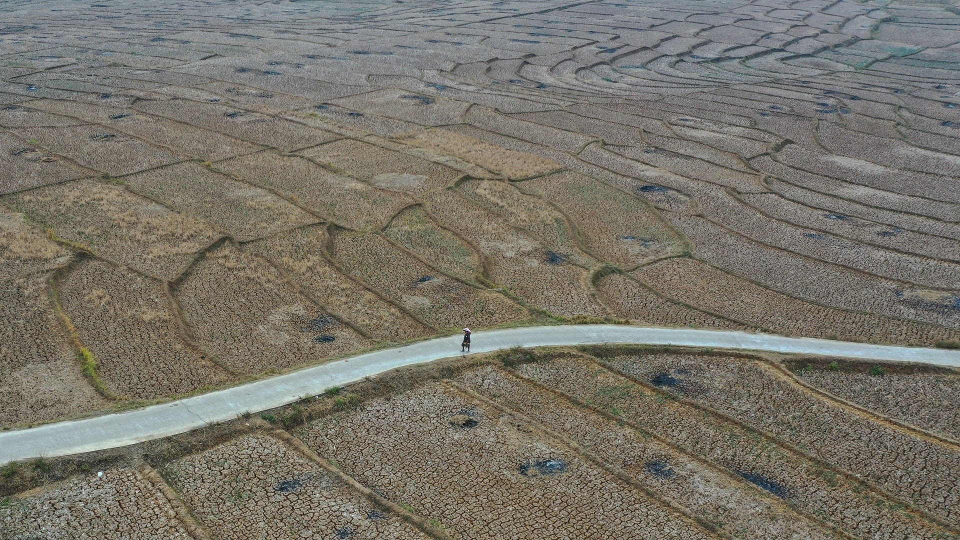 «La crisi climatica è sotto i nostri occhi e va affrontata con approcci diversi»