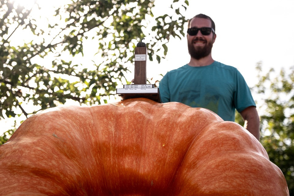 Zucche e ortaggi da record: trionfa un gigante da 650 chili