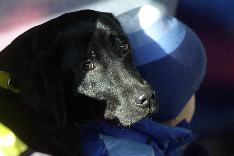 E se in Argovia fosse vietato possedere un Labrador?