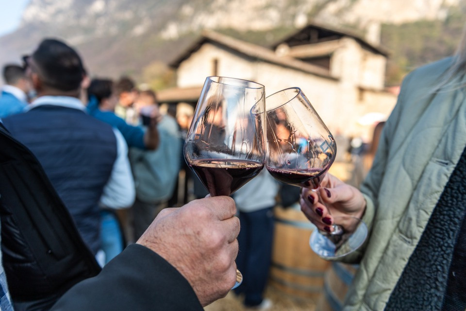 Il vino fa buon sangue (e anche buone azioni): un Merlot ticinese per sostenere Casa Orizzonti