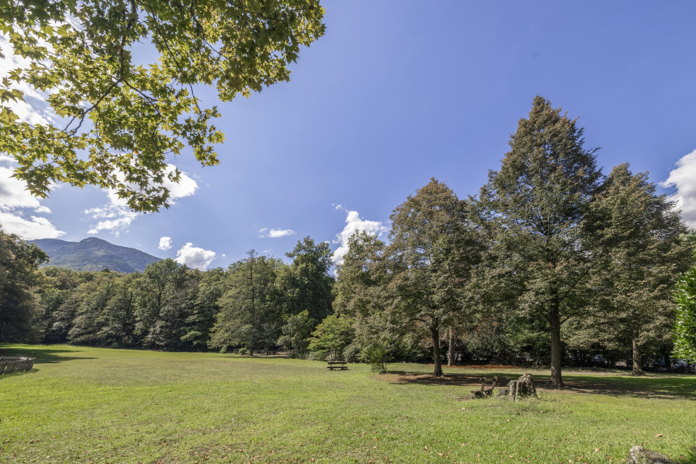 Parco Parsifal