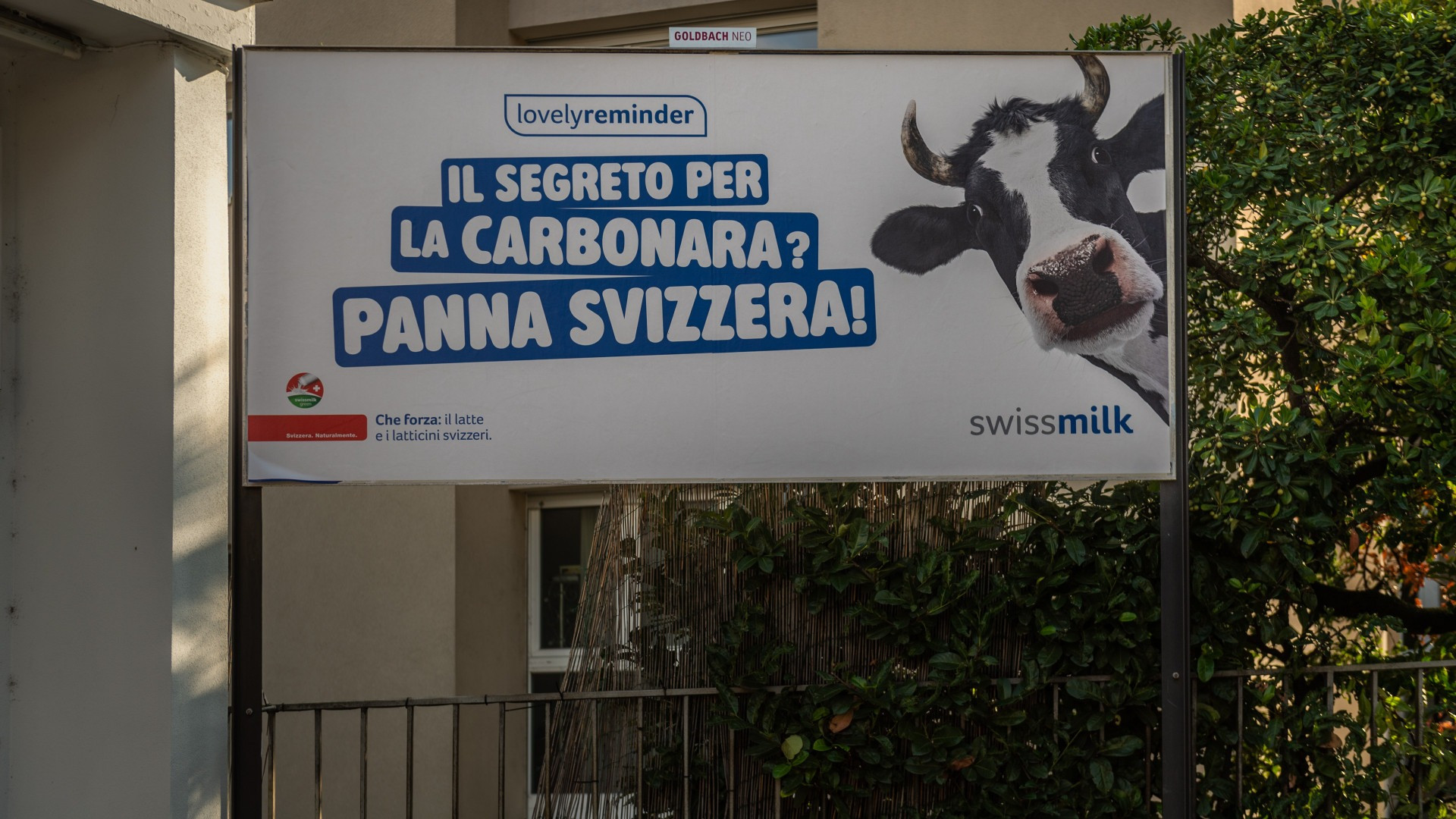 La carbonara con la panna? Swissmilk ci mette la mucca e la serve con ironia