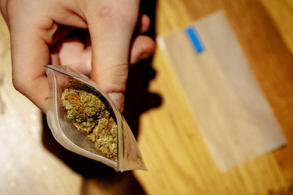 Due svizzeri arrestati in Thailandia con 16 chili di cannabis