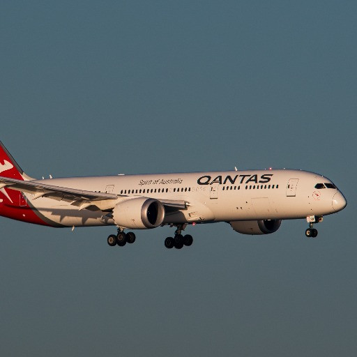«Cimici dei letti a bordo»: un aereo di Qantas si ferma a Roma