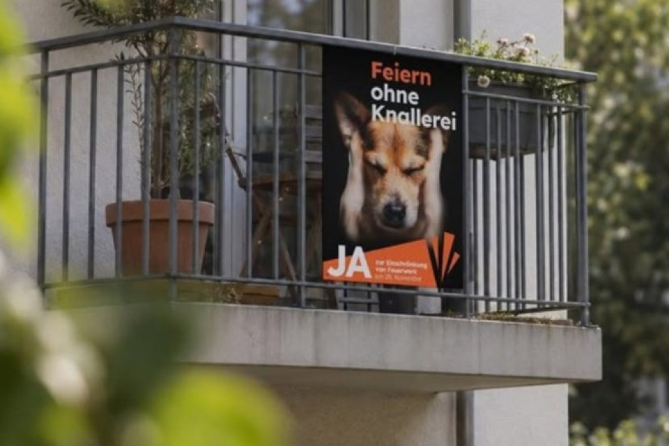 Fuochi d’artificio, al via la campagna del sì: «Proteggiamo animali e ambiente»
