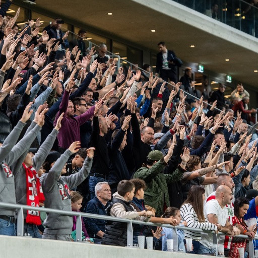 Ultras della Stella Rossa in tribuna all'AIL Arena: ecco che cosa è successo