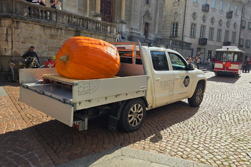 Una zucca da 460 chili a Bellinzona, poi il tour del Ticino