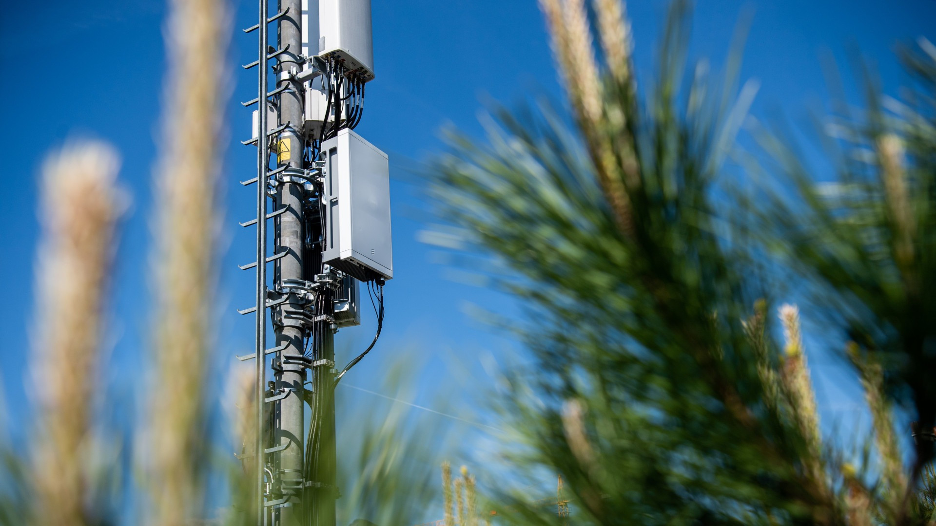 «Il 5G non ha aumentato l’esposizione all'elettromagnetismo, conta soprattutto come usiamo i cellulari»