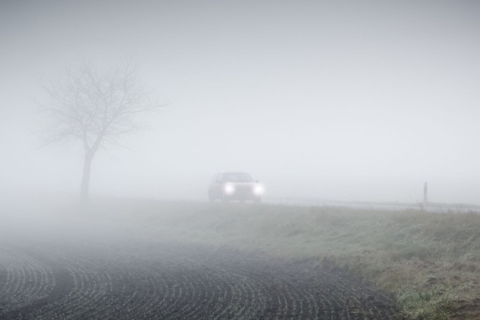 Nebbia, pioggia, foglie cadute: attenti ai pericoli dell'autunno sulla strada