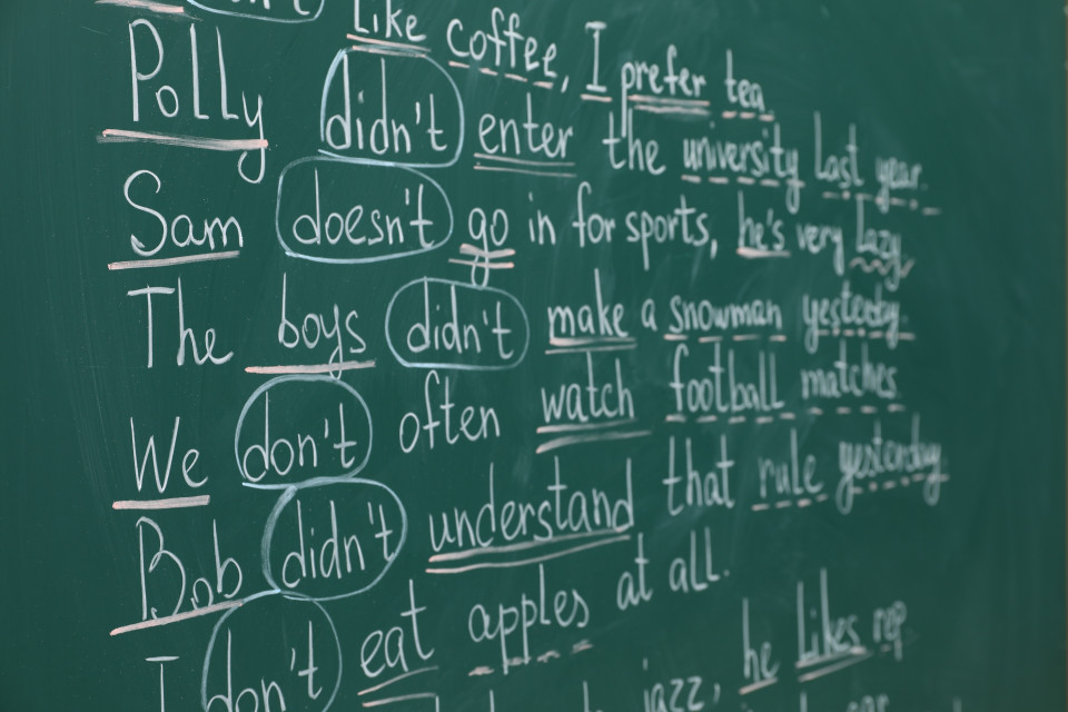 «Alle elementari una lingua straniera basta: dovrebbe essere l'inglese"