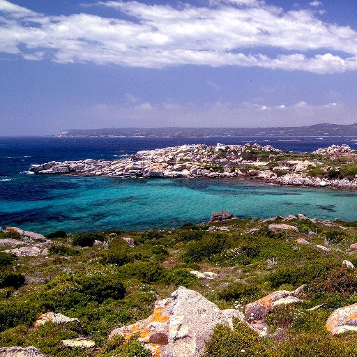 «L’isola dei miliardari» sarà presto accessibile a tutti?
