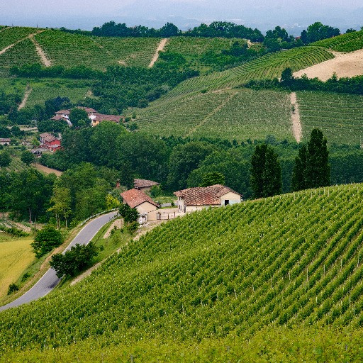 Dalla Svizzera alle Langhe: confiscati beni per oltre 700 mila euro