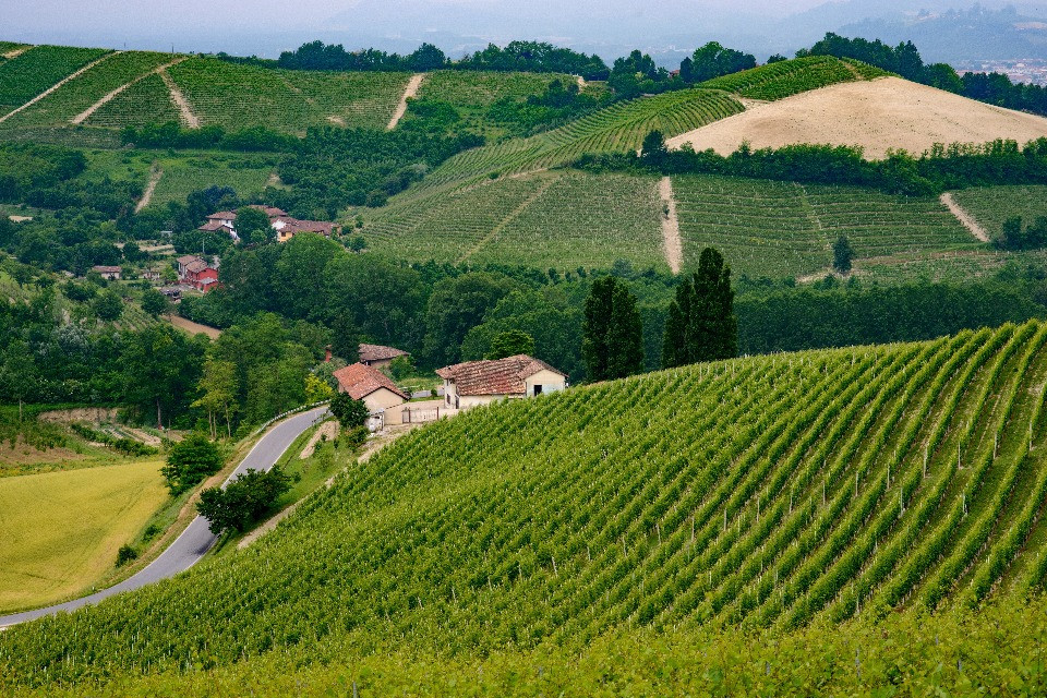 Dalla Svizzera alle Langhe: confiscati beni per oltre 700 mila euro