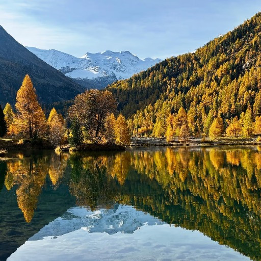 Foliage in ritardo: la siccità aveva anticipato la caduta delle foglie