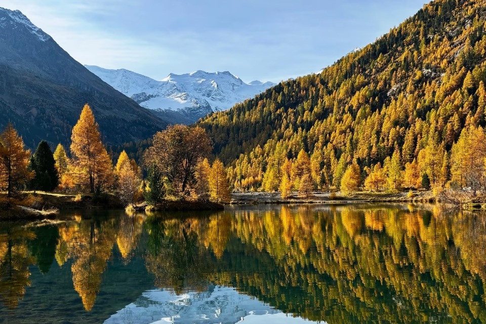 Foliage in ritardo: la siccità aveva anticipato la caduta delle foglie