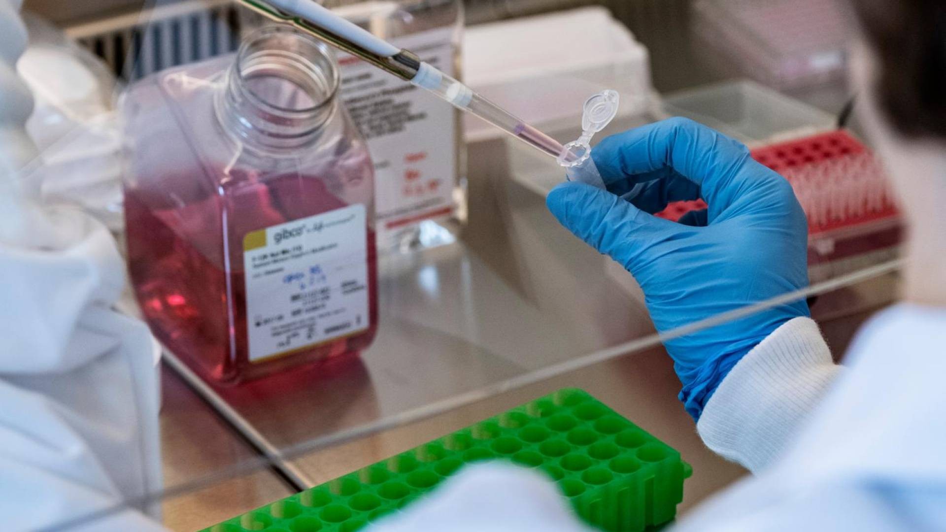 La ricerca di punta, il sogno e le note di Ray Charles