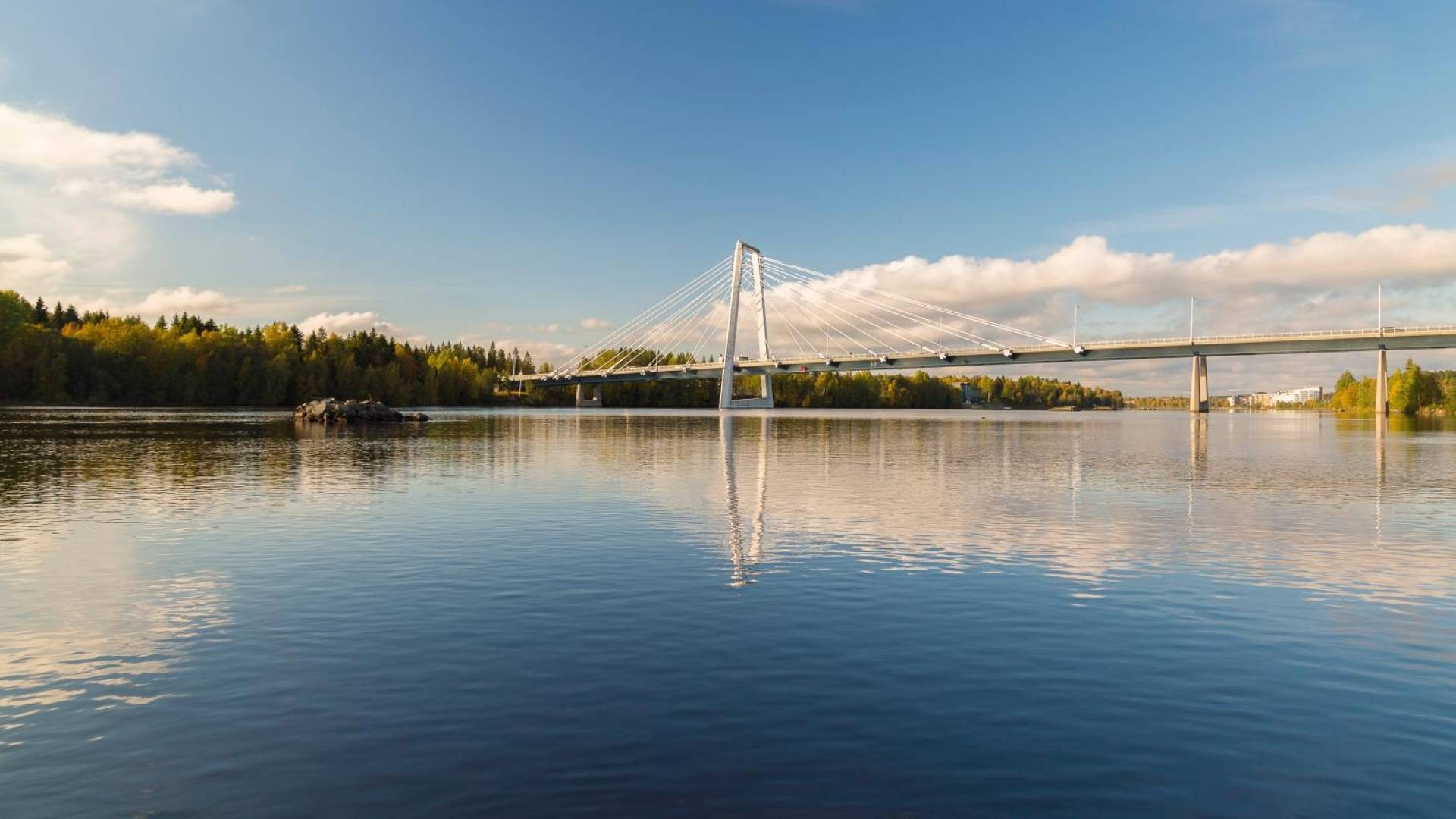 La Vergogna Per L'aereo, In Svezia - Il Post - Foto 8