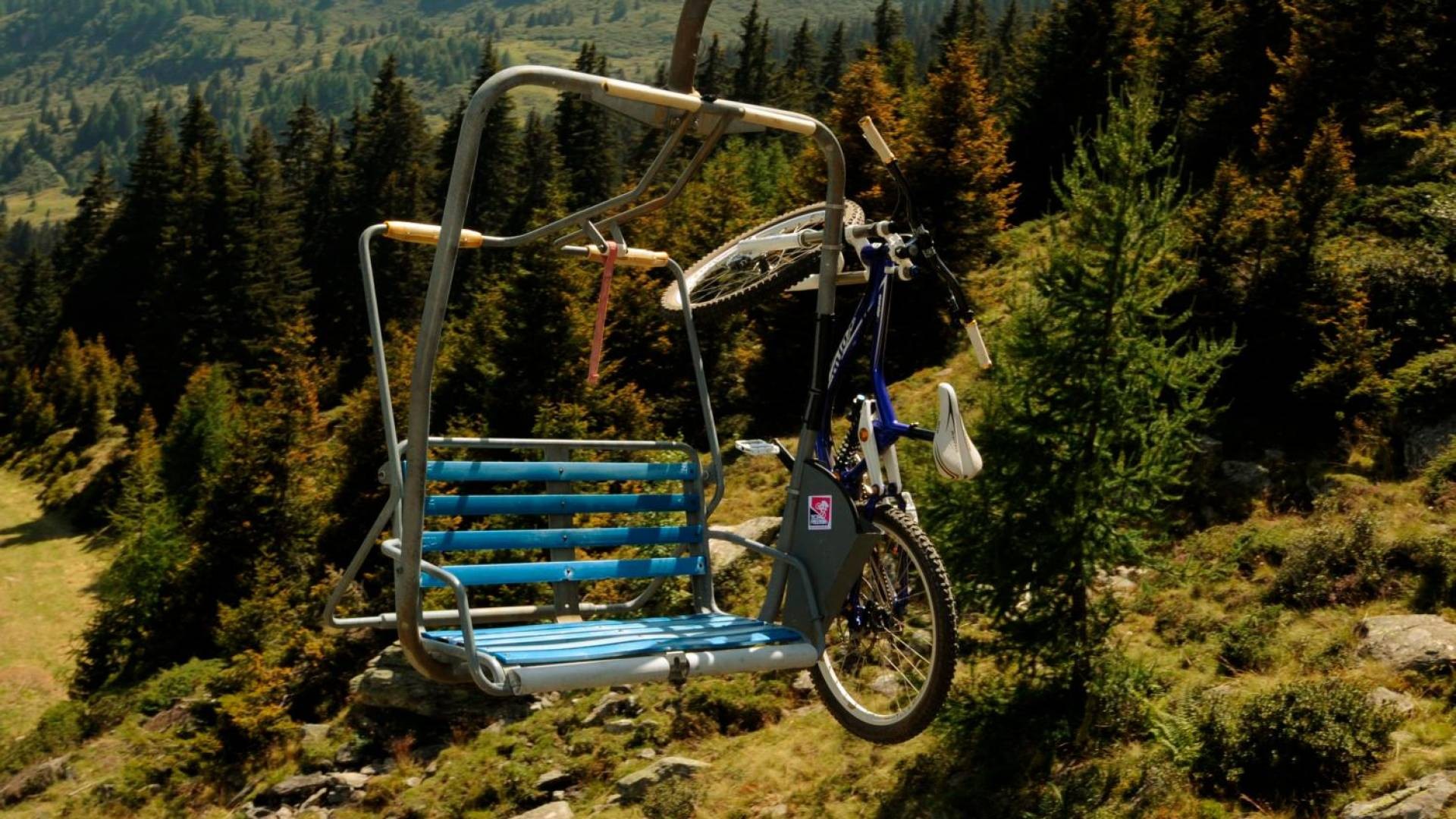 «Radiografia» del Nara in versione estiva