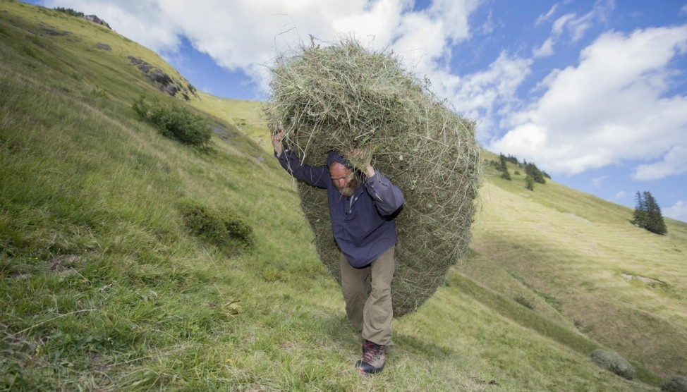  Tempo Di Fienagione A Isenthal