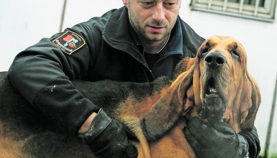  Morto Joker Il Cane Investigatore