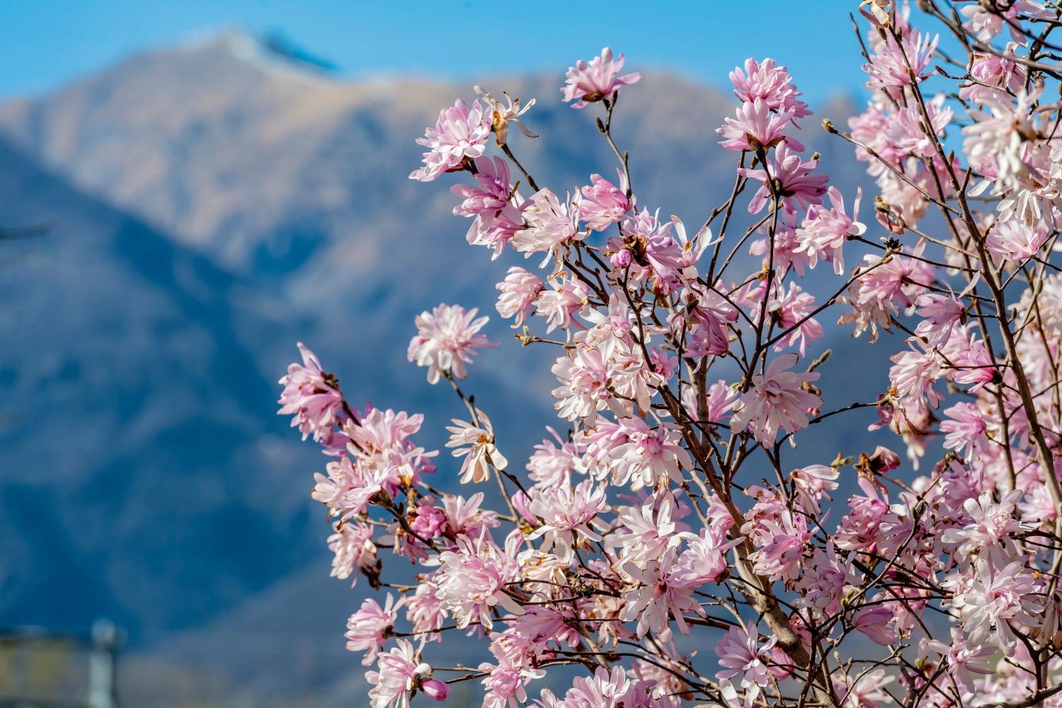 Primo weekend di primavera con temperature da record
