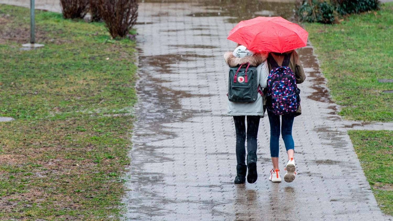 Gli Studenti Ticinesi Tornano Sui Banchi Senza Paura