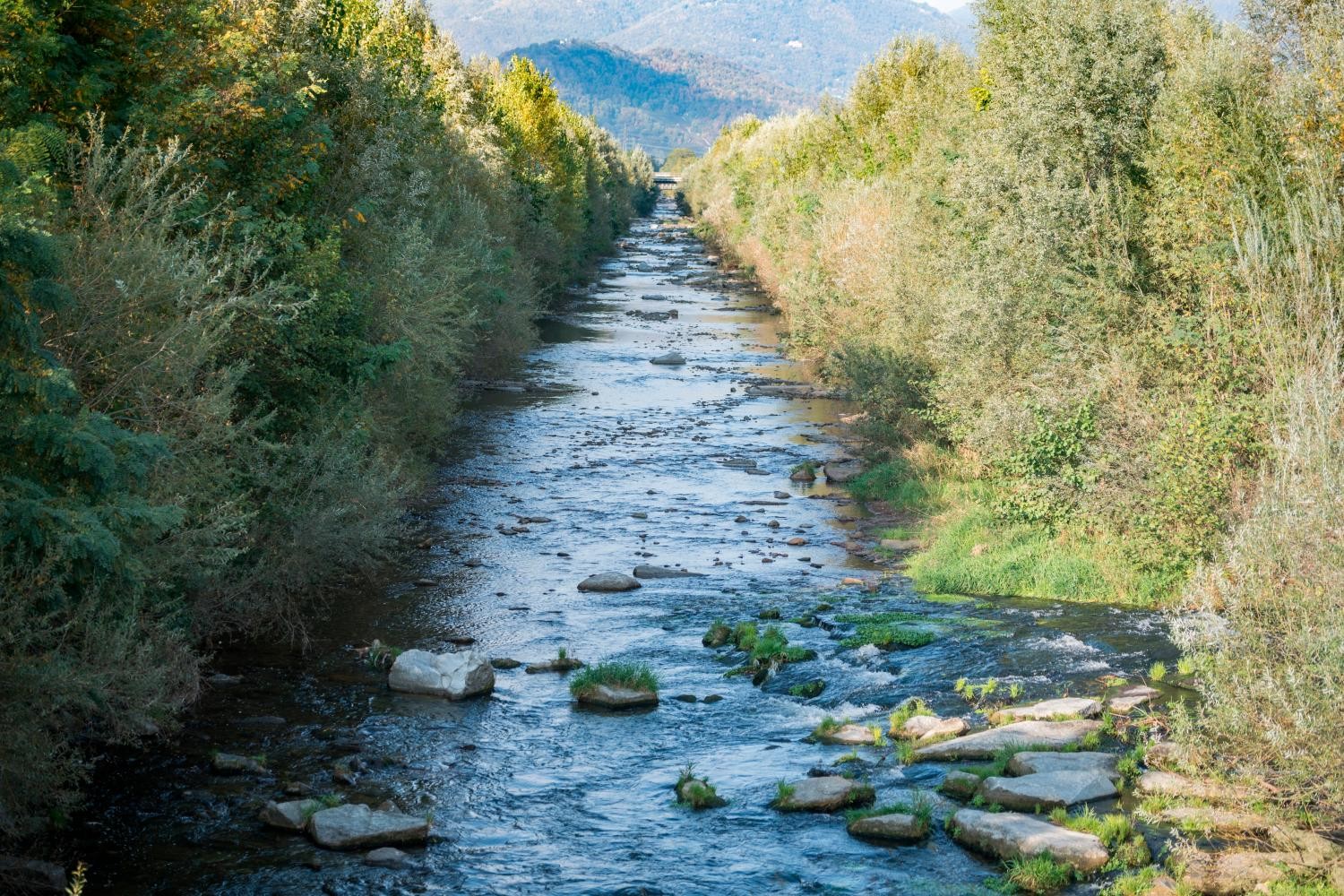 Il Dramma Degli Antibiotici Nei Fiumi