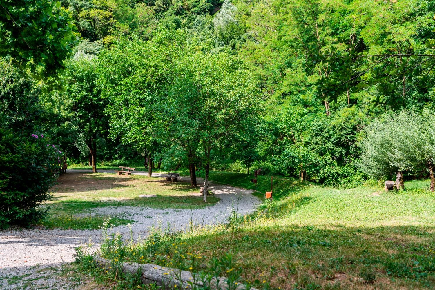 Riaperti i sentieri del Parco delle gole della Breggia Riaperti i sentieri del Parco delle gole della Breggia